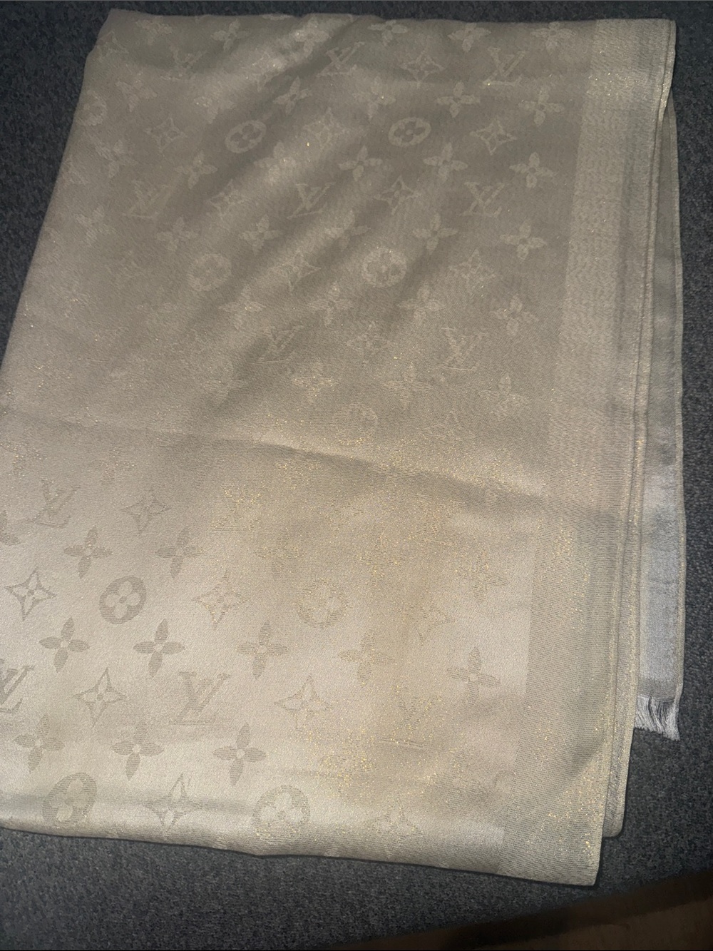 Fashion Scarf/Shawl